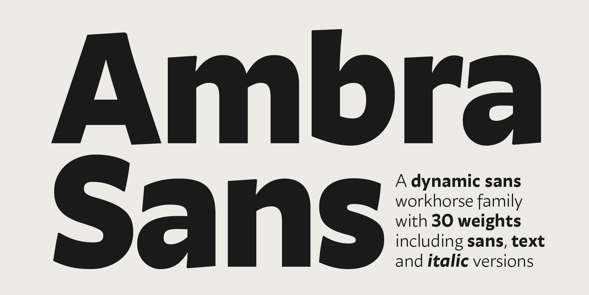 Ambra Sans Typeface by Zetafonts