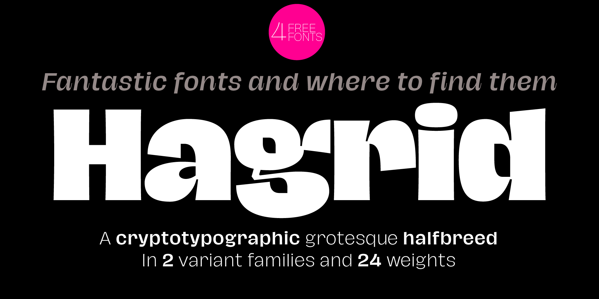 Hagrid Typeface By Zetafonts